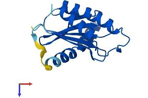 Protein Structure (PS) image for Trafficking Protein Particle Complex 2 Pseudogene 1 (TRAPPC2P1) (AA 1-140) protein (His tag) (ABIN7544616)