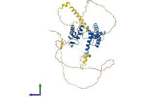 Protein Structure (PS) image for Paired Box 3 (PAX3) (AA 1-479) protein (His tag) (ABIN7563000)