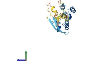 AlphaFold protein structure predicition of Human Recombinant RERGL Protein, UniprotID Q9H628