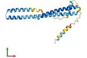 Protein Structure (PS) image for Charged Multivesicular Body Protein 1A (CHMP1A) (AA 1-196) protein (His tag) (ABIN7564852)