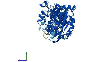 Protein Structure (PS) image for Alcohol Dehydrogenase 6 (Class V) (ADH6) (AA 1-368) protein (His tag) (ABIN7551981)