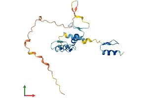 AlphaFold protein structure predicition of Mouse Recombinant Ovol3 Protein, UniprotID D3YYM0 (OVOL3 Protein (AA 1-189) (His tag))