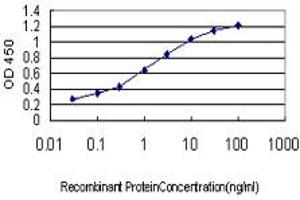 Detection limit for recombinant GST tagged FUBP1 is approximately 0. (FUBP1 antibody  (AA 27-136))