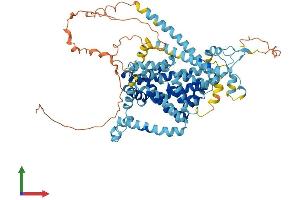 AlphaFold protein structure predicition of Human Recombinant SLC34A1 Protein, UniprotID Q06495