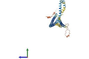 AlphaFold protein structure predicition of Human Recombinant TMEM191B Protein, UniprotID P0C7N4 (TMEM191B Protein (AA 1-346) (His tag))