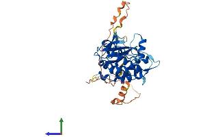 AlphaFold protein structure predicition of Human Recombinant TRIB1 Protein, UniprotID Q96RU8