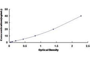 Typical standard curve (HFE2 ELISA Kit)