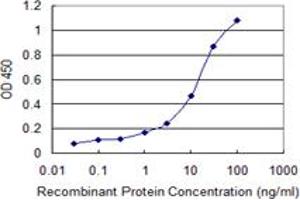 Detection limit for recombinant GST tagged SPR is 0. (SPR antibody  (AA 164-260))