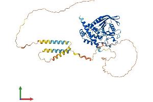 AlphaFold protein structure predicition of Mouse Recombinant Ptpn5 Protein, UniprotID P54830