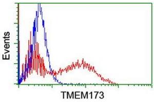 Image no. 2 for anti-Transmembrane Protein 173 (TMEM173) antibody (ABIN1501425) (STING/TMEM173 antibody)