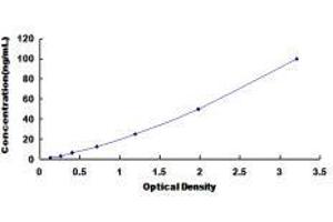 Fibrinogen beta Chain (FGB) ELISA Kit