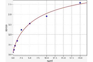 PKC ELISA Kit