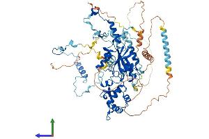 Protein Structure (PS) image for Guanine Nucleotide Binding Protein Like Protein 2 (GNL2) (AA 1-731) protein (His tag) (ABIN7549809)