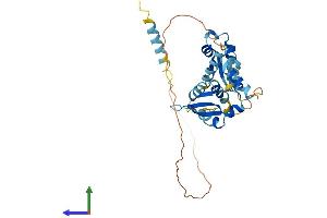AlphaFold protein structure predicition of Human Recombinant MAGEB2 Protein, UniprotID O15479 (MAGEB2 Protein (AA 1-319) (His tag))