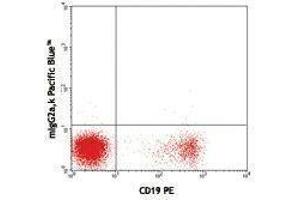 Flow Cytometry (FACS) image for Mouse anti-Human Ig (Light Chain) antibody (Pacific Blue) (ABIN2667175) (Mouse anti-Human Ig (Light Chain) Antibody (Pacific Blue))