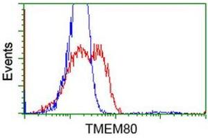 HEK293T cells transfected with either RC202288 overexpress plasmid (Red) or empty vector control plasmid (Blue) were immunostained by anti-TMEM80 antibody (ABIN2453727), and then analyzed by flow cytometry. (TMEM80 antibody)