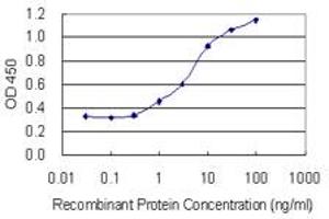 Detection limit for recombinant GST tagged POTED is 0. (POTED antibody  (AA 485-584))