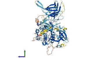 AlphaFold protein structure predicition of Mouse Recombinant Prkcd Protein, UniprotID P28867 (PKC delta Protein (AA 1-674) (His tag))