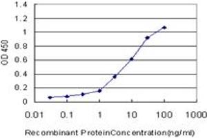 Detection limit for recombinant GST tagged TP53BP2 is approximately 0. (TP53BP2 antibody  (AA 511-610))