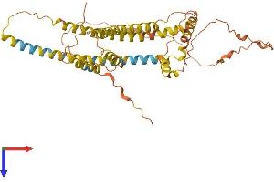 AlphaFold protein structure predicition of Human Recombinant NPIPA2 Protein, UniprotID E9PIF3 (NPIPA2 Protein (AA 1-369) (His tag))
