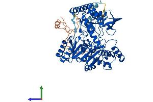 AlphaFold protein structure predicition of Human Recombinant SPTLC2 Protein, UniprotID O15270 (SPTLC2 Protein (AA 1-562) (His tag))