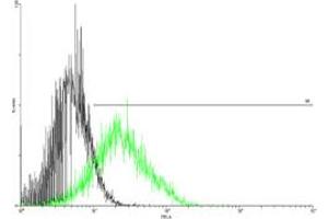 FACS analysis of negative control 293 cells (Black) and CSF2RA expressing 293 cells (Green) using CSF2RA purified MaxPab mouse polyclonal antibody. (CSF2RA antibody  (AA 1-400))