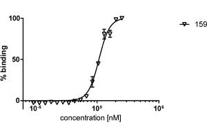 ELISA analysis of human HDAC6 by mouse monoclonal antibody 159. (HDAC6 antibody)