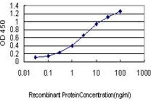 Detection limit for recombinant GST tagged ACOX2 is approximately 0. (Acox2 antibody  (AA 582-681))