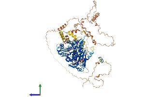 AlphaFold protein structure predicition of Human Recombinant DENND2C Protein, UniprotID Q68D51 (DENND2C Protein (AA 1-928) (His tag))