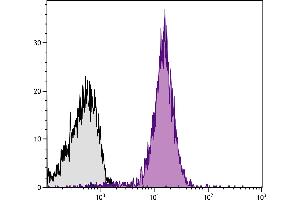 C57BL/6 mouse splenocytes were stained with Rat Anti-Mouse CD2-PE. (CD2 antibody  (PE))