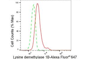 Flow cytometric analysis of Lysine demethylase 1B expression in HepG2 cells using Lysine demethylase 1B antibody (ABIN7799298), 1:2,000). (Recombinant KDM1B antibody)