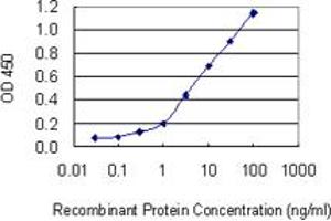 Detection limit for recombinant GST tagged ATP6AP1 is 0. (ATP6AP1 antibody  (AA 51-150))