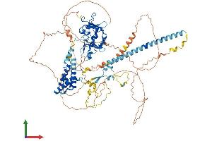 AlphaFold protein structure predicition of Human Recombinant JADE3 Protein, UniprotID Q92613 (PHF16 Protein (AA 1-823) (His tag))