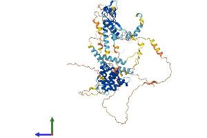 AlphaFold protein structure predicition of Human Recombinant SPIRE2 Protein, UniprotID Q8WWL2 (SPIRE2 Protein (AA 1-714) (His tag))