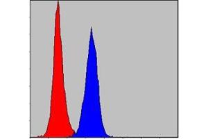 Flow cytometric analysis of NIH/3T3 cells using PRK2 mouse mAb (blue) and negative control (red). (PKN2 antibody)