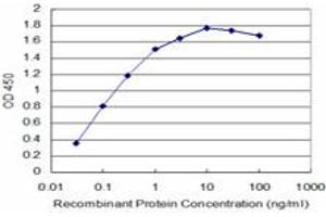 Detection limit for recombinant GST tagged TAOK3 is approximately 0. (TAO Kinase 3 antibody  (AA 809-898))