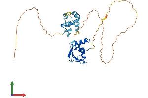 AlphaFold protein structure predicition of Human Recombinant EHF Protein, UniprotID Q9NZC4 (EHF Protein (AA 1-300) (His tag))