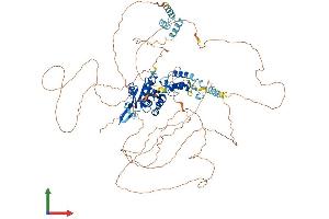 AlphaFold protein structure predicition of Human Recombinant ZC3H12C Protein, UniprotID Q9C0D7 (ZC3H12C Protein (AA 1-883) (His tag))