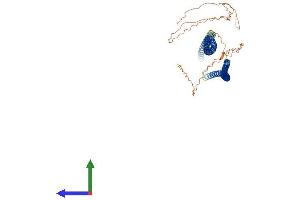 AlphaFold protein structure predicition of Mouse Recombinant Krt79 Protein, UniprotID Q8VED5 (Cytokeratin 79 Protein (AA 1-531) (His tag))