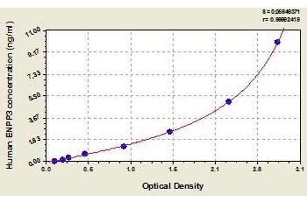 ENPP3 ELISA Kit