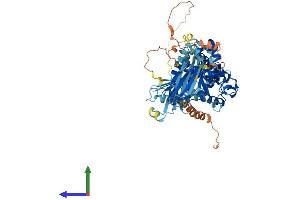 Protein Structure (PS) image for SEC14-Like 1 (SEC14L1) (AA 1-715) protein (His tag) (ABIN7555324)