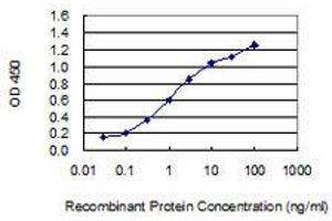 Detection limit for recombinant GST tagged PTPN14 is 0. (PTPN14 antibody  (AA 303-412))