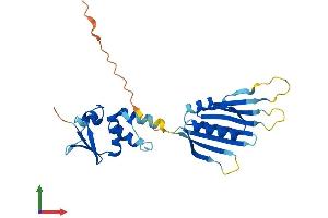 AlphaFold protein structure predicition of Mouse Recombinant Kcnrg Protein, UniprotID Q2TUM3 (KCNRG Protein (AA 1-264) (His tag))
