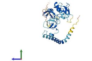 AlphaFold protein structure predicition of Mouse Recombinant Rnf144a Protein, UniprotID Q925F3 (RNF144A Protein (AA 1-292) (His tag))