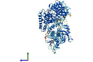 Protein Structure (PS) image for Ligase IV, DNA, ATP-Dependent (LIG4) (AA 1-911) protein (His tag) (ABIN7564421)