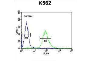 Flow Cytometry (FACS) image for anti-rho GTPase Activating Protein 17 (ARHGAP17) antibody (ABIN2995824)