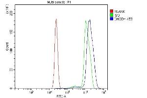 Flow Cytometry analysis of U937 cells using anti-DHODH antibody (ABIN7603140).