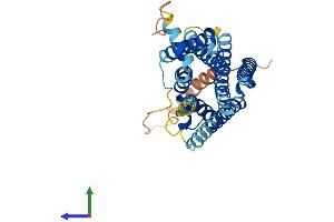 AlphaFold protein structure predicition of Human Recombinant MC4R Protein, UniprotID P32245 (MC4R Protein (AA 1-332) (His tag))