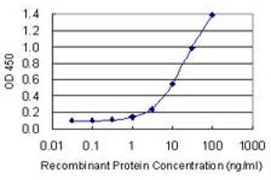 Detection limit for recombinant GST tagged POLR2F is 0. (POLR2F antibody  (AA 1-127))