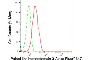Flow cytometric analysis of paired like homeodomain 3 expression in HepG2 cells using paired like homeodomain 3 antibody (ABIN7799838), 1:2,000). (Recombinant PITX3 antibody)